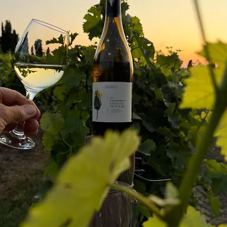 Les Jardins Du Canal 펜션