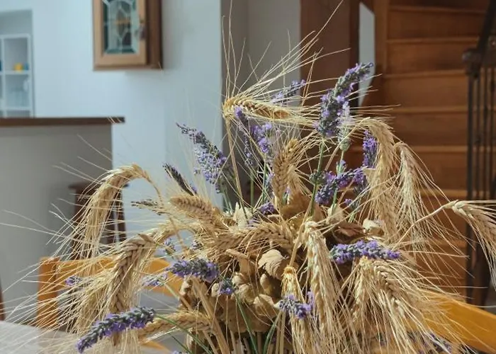 Les Jardins Du Canal Holiday home *